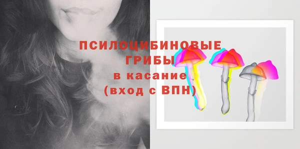 прущие грибы Вязьма