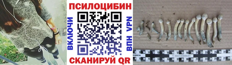 Псилоцибиновые грибы Psilocybine cubensis Артём